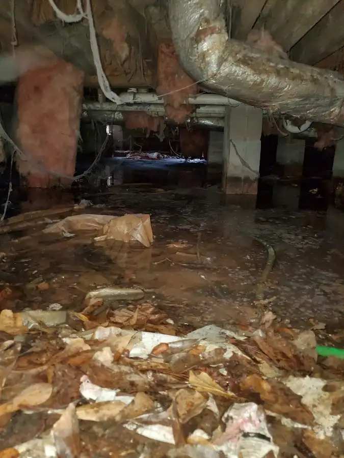 Crawl space flood assessment for Commercial Water Damage Restoration in Opelika