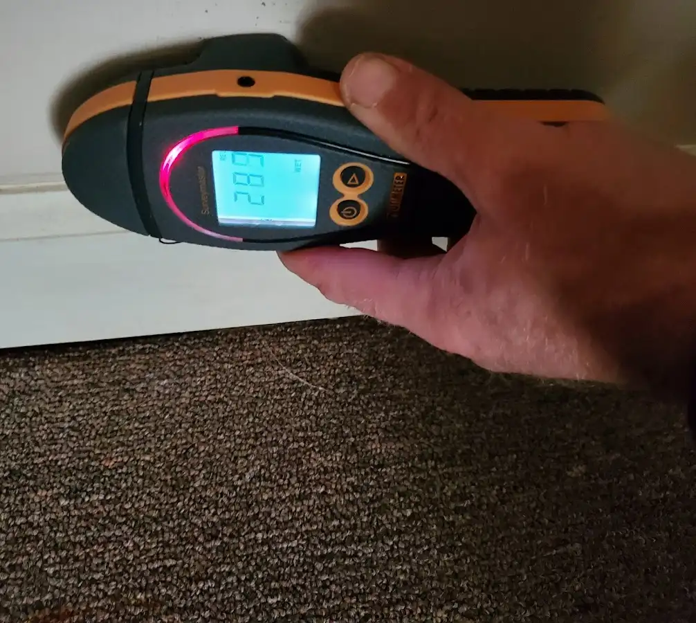 Moisture detection at baseboard during Sewage Cleanup & Sanitation in Opelika